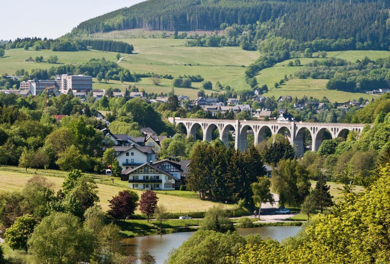 Fewo Blumes Bergfrieden Mit Meinecardplus Виллинген Экстерьер фото
